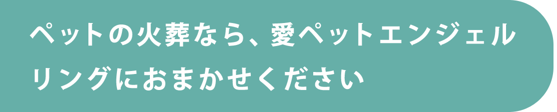 ペットの火葬なら、愛ペットエンジェルリングにおまかせください