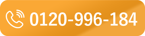 0120996184